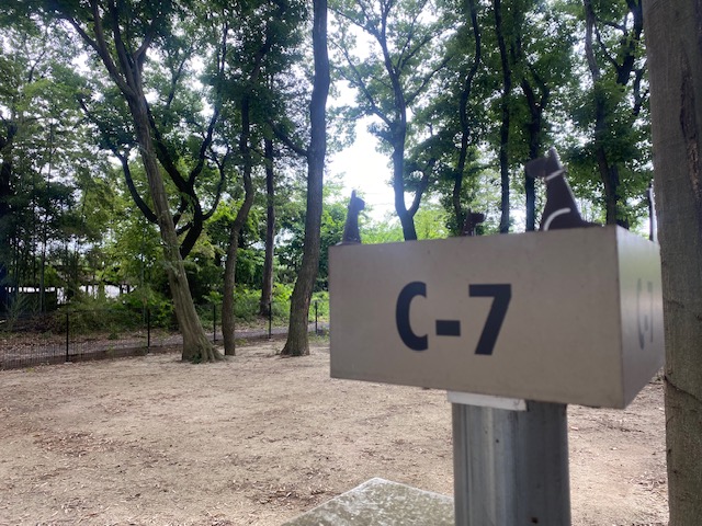 スタッフ千鮎釣行記～栃木県小山市/ニジマス（頂鱒）釣果はアングリングファン9月号で！～