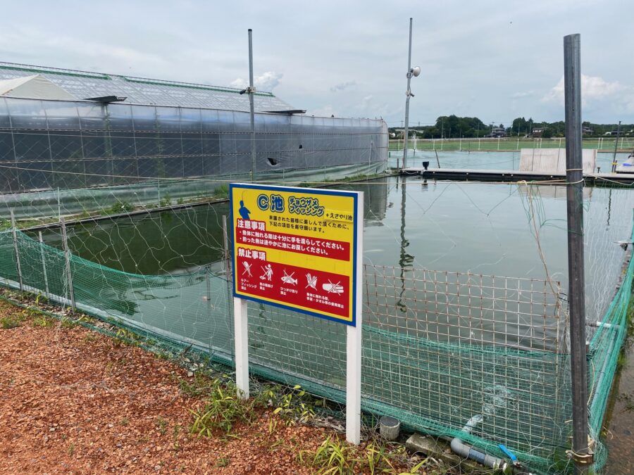 スタッフ千鮎釣行記～栃木県小山市/ニジマス（頂鱒）釣果はアングリングファン9月号で！～
