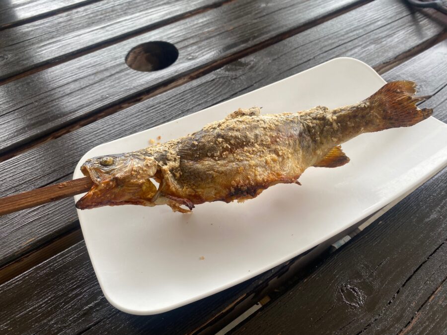 スタッフ千鮎釣行記～栃木県小山市/ニジマス（頂鱒）釣果はアングリングファン9月号で！～