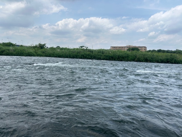 スタッフ平賀釣行記～相模川・昭和橋本流側/アユ10cm -17cm12匹～