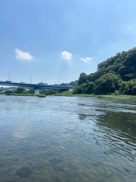 スタッフ平賀釣行記～相模川高田橋上流部/アユ12匹10cm-17cm～