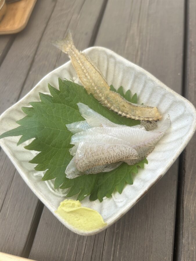 【報告】2024年7月21日（日）相模屋シロギス船釣り体験会＆講習会