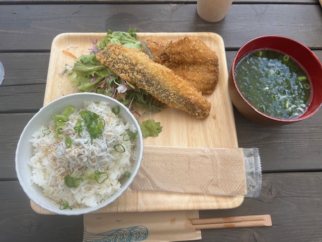 【報告】2024年7月21日（日）相模屋シロギス船釣り体験会＆講習会