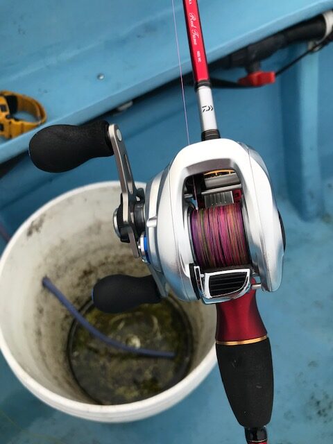 スタッフ小澤釣行記～亀城根/マルイカ26杯～