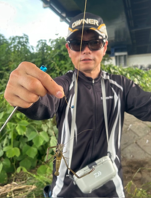 明日の爆釣モーニングは、手長エビ釣り実釣取材！