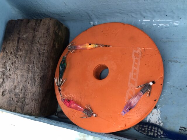 スタッフ小澤釣行記～城ヶ島沖/マルイカ・ムギイカ(1杯)62杯～