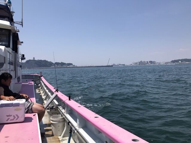 スタッフ小澤釣行記～エボシ〜江ノ島〜腰越沖/マルイカ59杯～