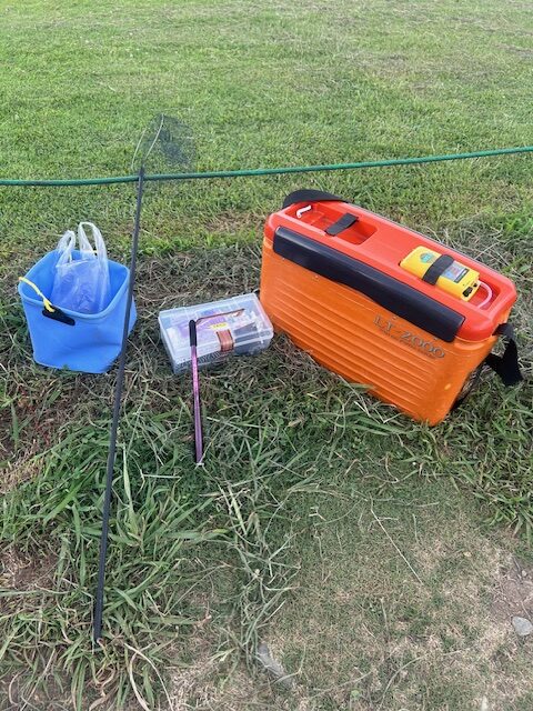 スタッフ平賀釣行記～酒匂川/手長エビ13匹～