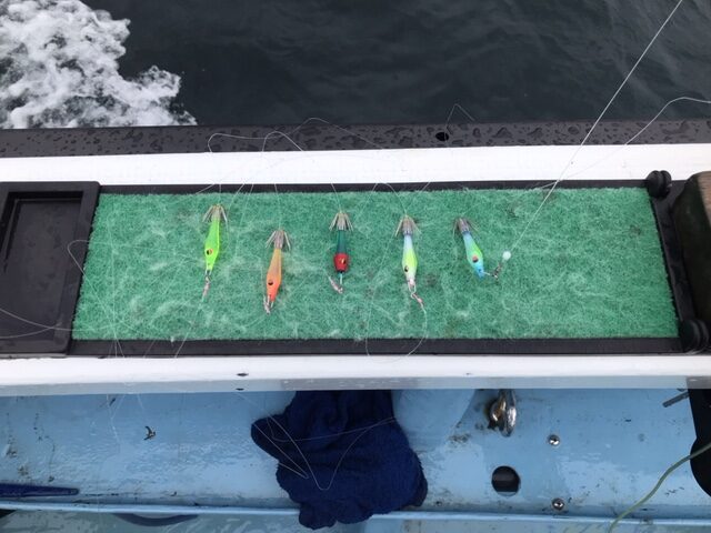 スタッフ小澤釣行記～城ヶ島沖/マルイカ・ムギイカ(1杯)62杯～