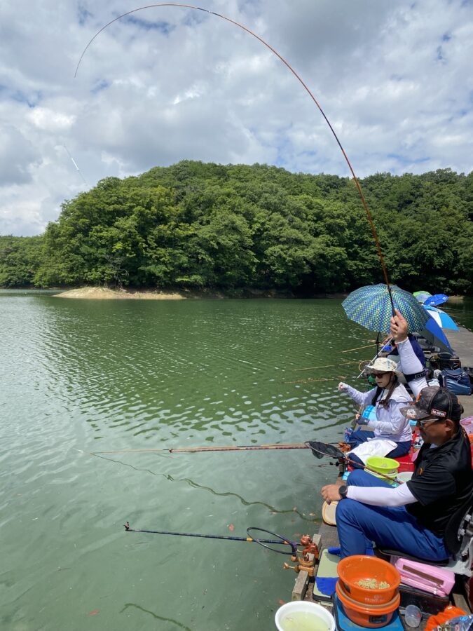 スタッフ千鮎釣行記~三名湖・大手張桟橋/ヘラブナ21枚~