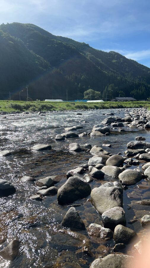 スタッフ平賀釣行記～馬瀬川（上馬瀬）/アユ20匹～