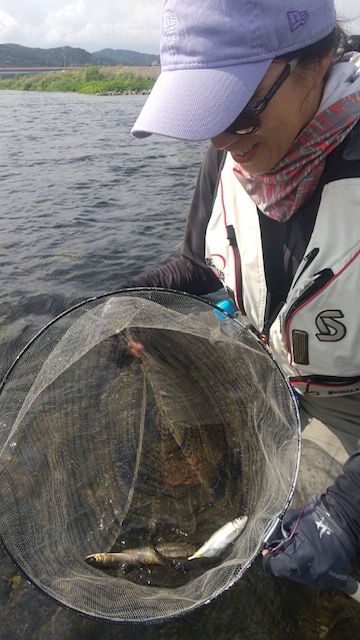 【報告】2024年8月22日（木）相模屋スタッフによる鮎友釣り体験会＆講習会開催