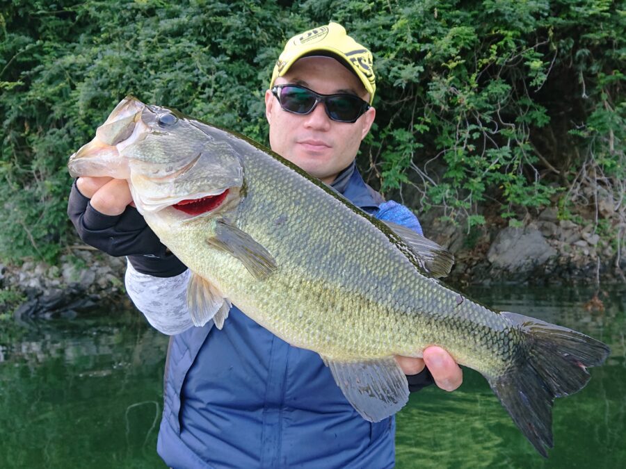 スタッフ吉田釣行記~津久井湖/吉田・ブラックバス30~47cm11匹~