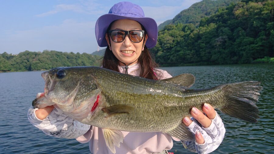 スタッフ吉田釣行記～津久井湖/吉田・ブラックバス22～33cm10匹以上～