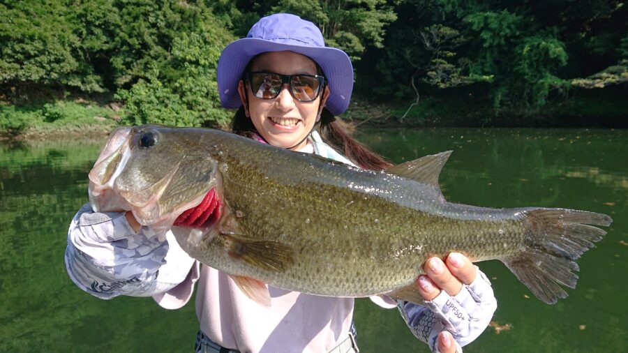 スタッフ吉田釣行記～津久井湖/吉田・ブラックバス22～33cm10匹以上～