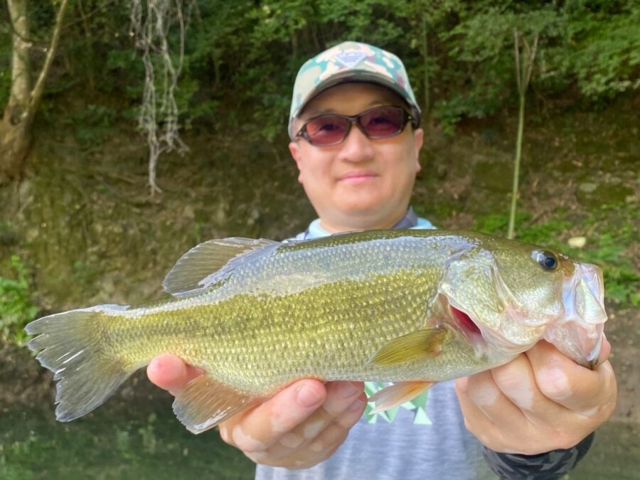 スタッフ吉田釣行記～津久井湖/吉田・ブラックバス22～33cm10匹以上～
