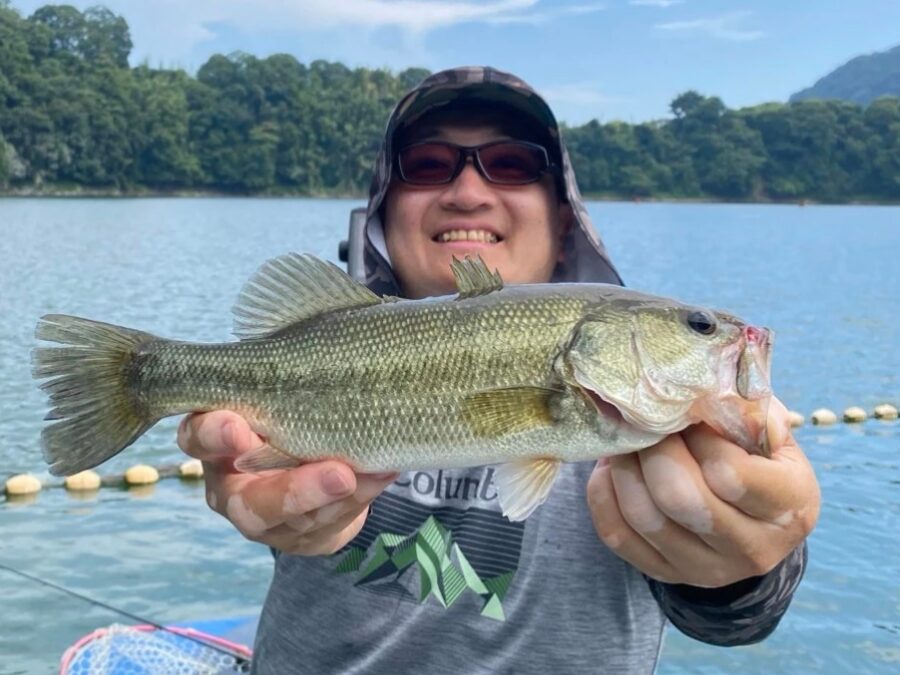スタッフ吉田釣行記～津久井湖/吉田・ブラックバス22～33cm10匹以上～