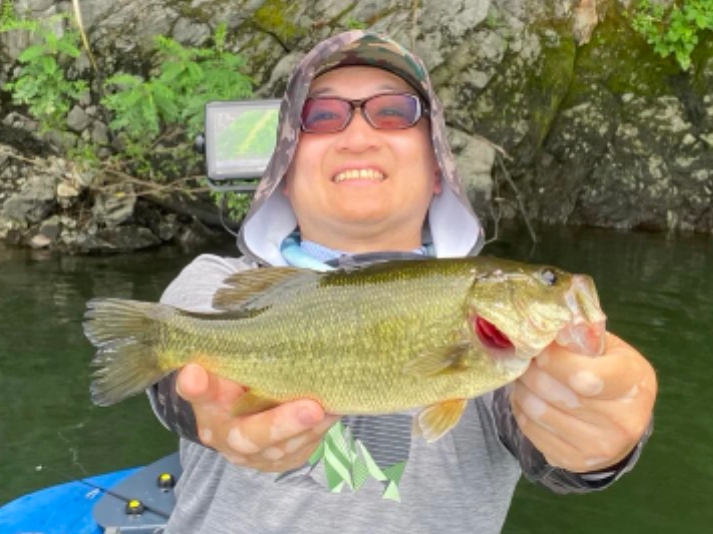 スタッフ吉田釣行記～津久井湖/吉田・ブラックバス22～33cm10匹以上～