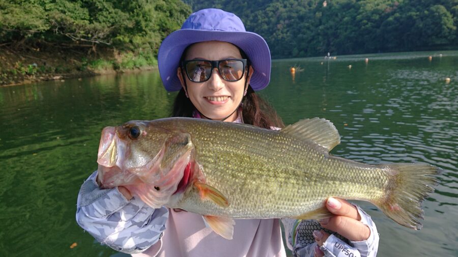 スタッフ吉田釣行記～津久井湖/吉田・ブラックバス22～33cm10匹以上～