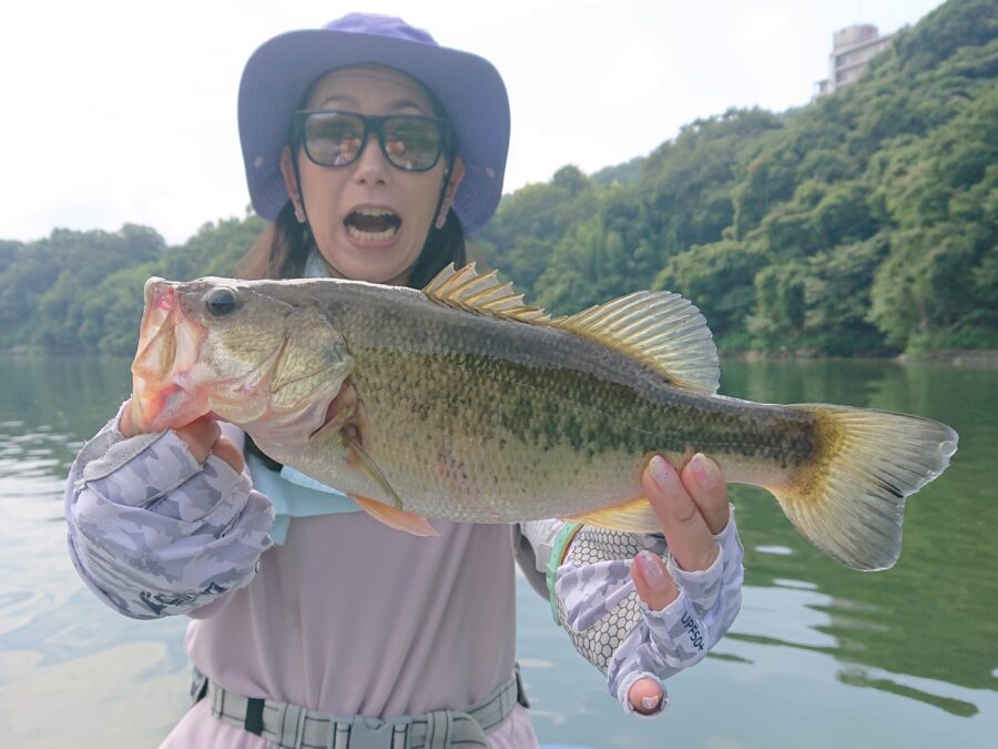 スタッフ吉田釣行記～津久井湖/吉田・ブラックバス22～33cm10匹以上～