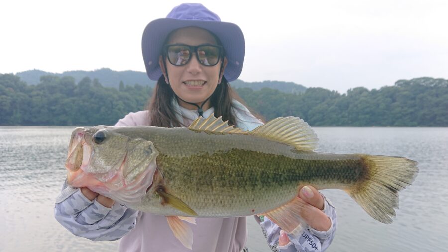 スタッフ吉田釣行記～津久井湖/吉田・ブラックバス22～33cm10匹以上～