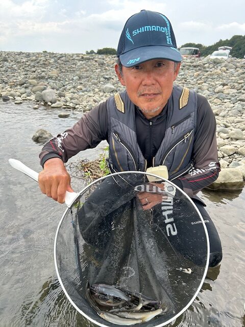 スタッフ平賀・高窪・内田釣行記～相模川高田橋下流/鮎10匹・10匹・12匹/最大20cm～