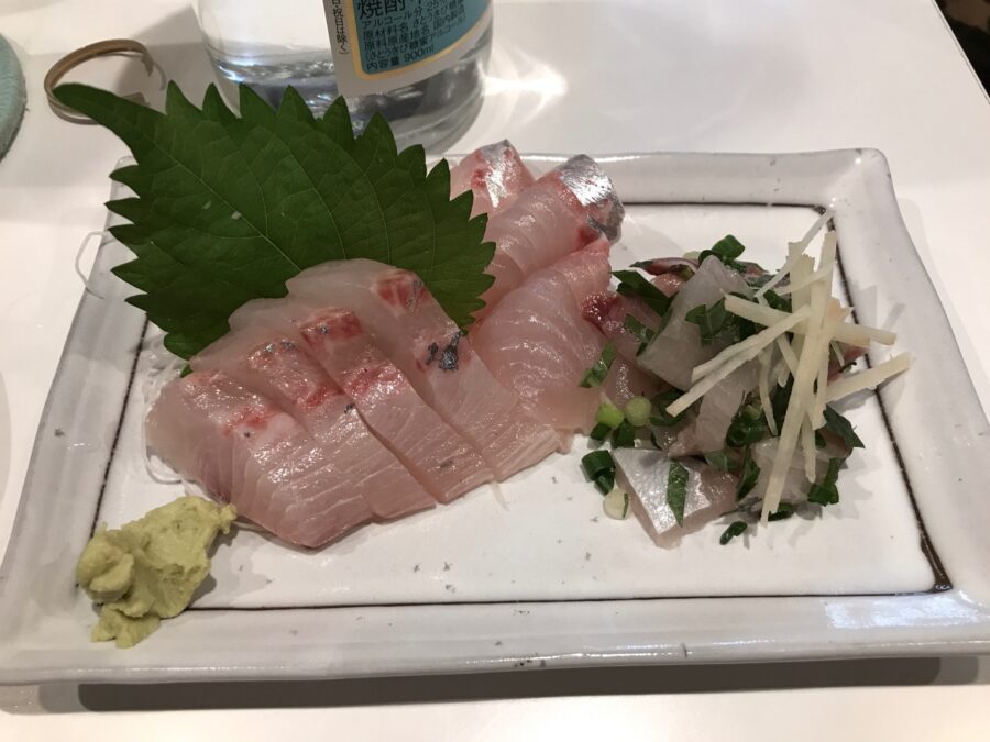 スタッフ小澤淳釣行記～佐島沖/シマアジ44cm1枚～