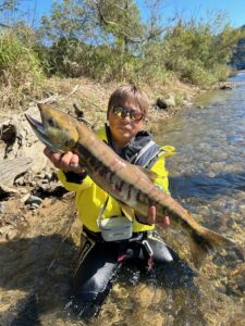スタッフ平賀釣行記～有効利用調査1日目・新潟県荒川/サケ2匹67cm・70cm～