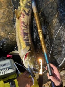 70cm-225x300.jpg