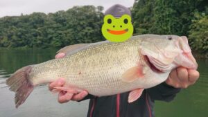 O様～津久井湖/ブラックバス56cm3010g～