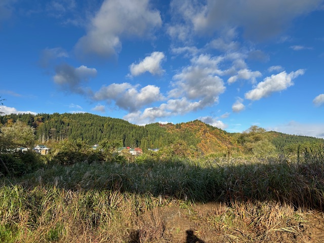 スタッフ平賀釣行記~山形県 鮭川(さけがわ)/シロサケ1日目1匹/79cmメス~