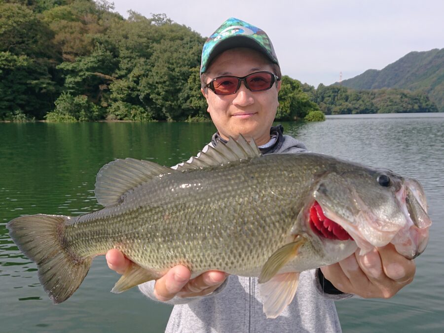 スタッフ吉田釣行記～津久井湖/ブラックバス…3人で30-47cm/8匹～