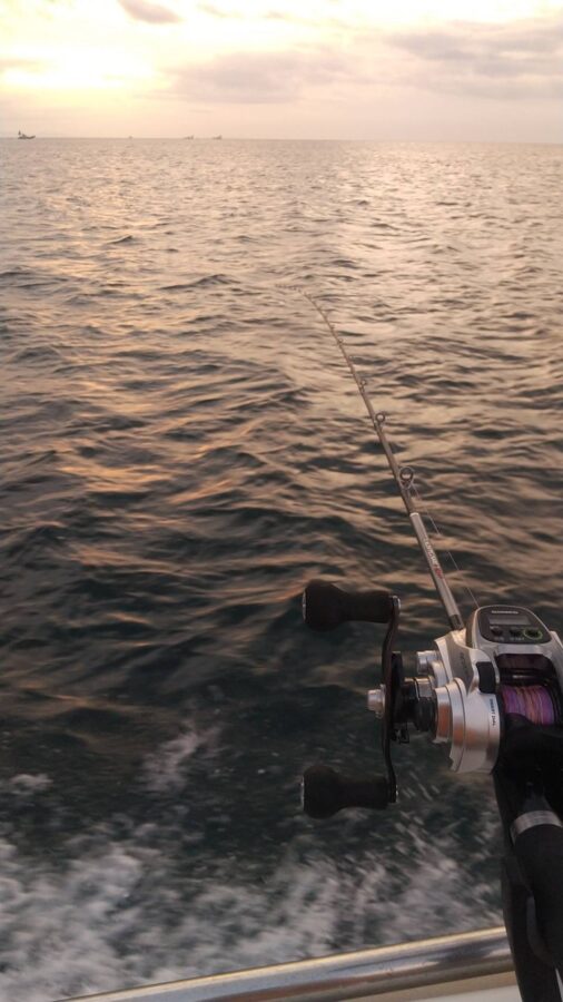 小室様～平塚港/アマダイ2匹30cm～