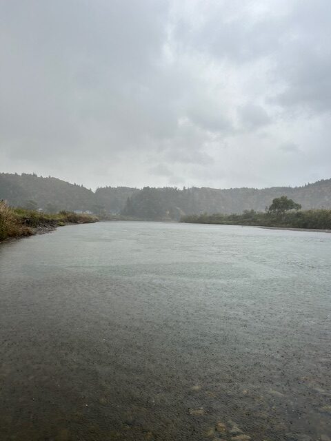 スタッフ平賀釣行記~山形県 鮭川(さけがわ)/シロサケ1日目1匹/79cmメス~