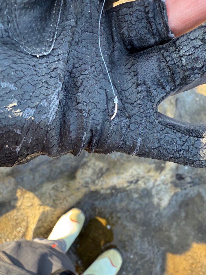 スタッフ小澤釣行記～茅ヶ崎エボシ岩ウジマ/口太メジナ47cm1.8㎏/1枚～