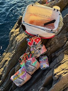 スタッフ小澤釣行記～真鶴 赤壁/尾長メジナ39cm・35cm/2枚～