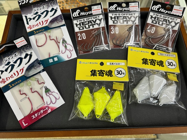 スタッフ平賀釣行記～東京・羽田/トラフグ1匹～