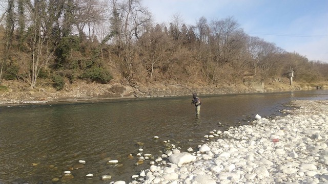 スタッフ平賀釣行記～長野県/犀川・奈良井川/レインボートラウト2匹/45cm・48cm～