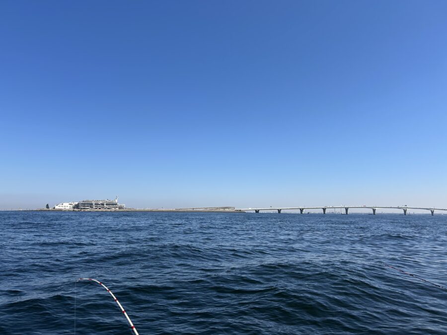 スタッフ齋藤釣行記~羽田/トラフグ1匹~