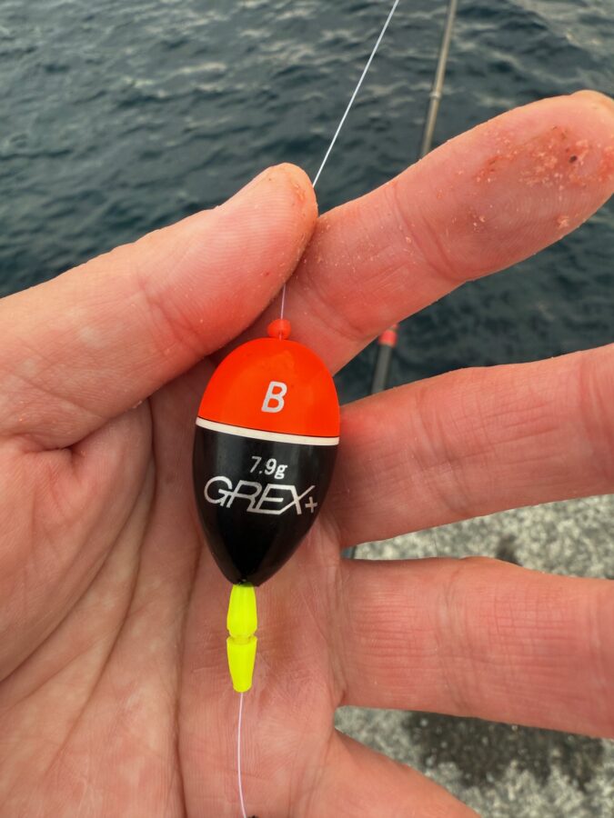 スタッフ小澤釣行記～初島　第一漁港/口太メジナ36cm・20cm1枚ずつ～