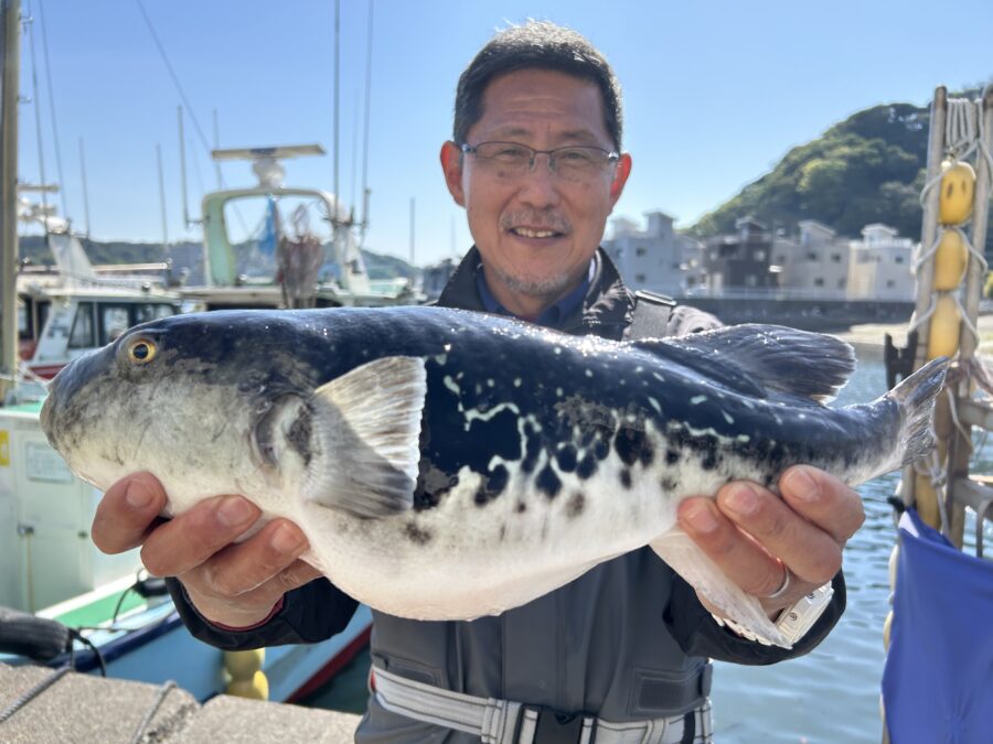 内田様～鴨居大室/トラフグ1匹2.4kg～