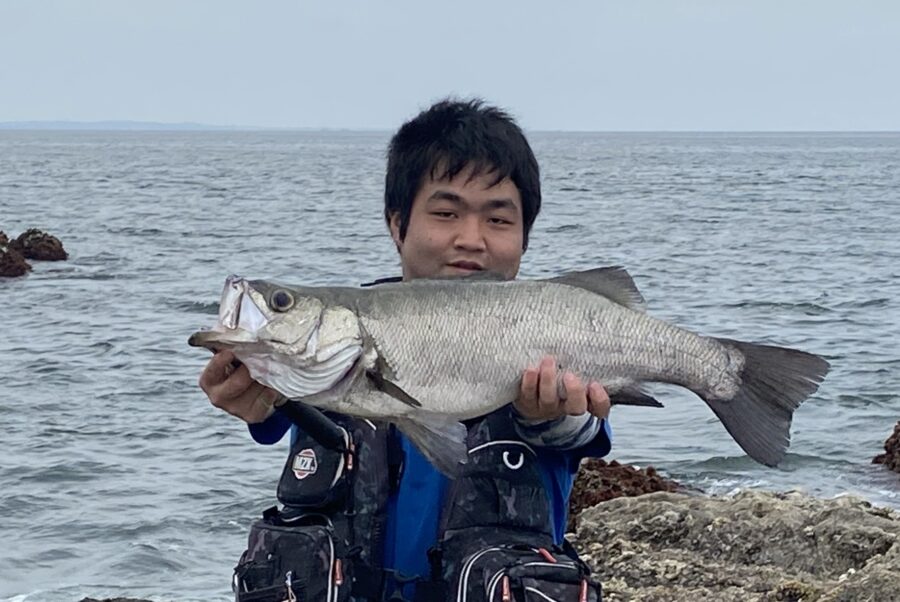 スタッフ大山釣行記~烏帽子岩/ヒラスズキ72cm1匹~