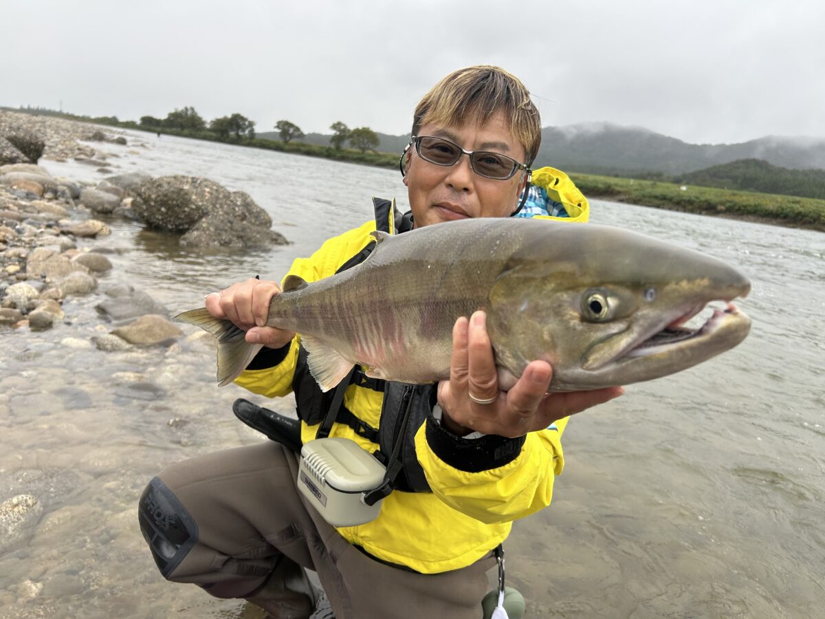 スタッフ平賀釣行記~新潟県 荒川/シロザケメス73cm~