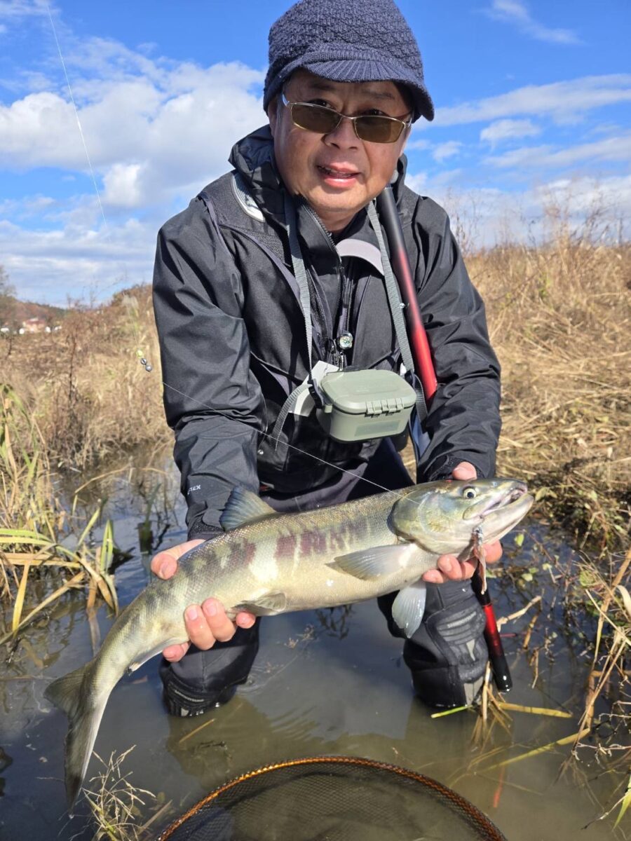 生方様～山形県　鮭川/シロザケ…オス1匹/62cm 2.5kg～