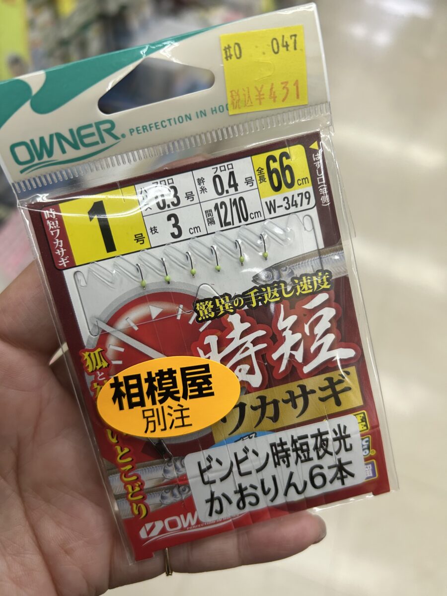 さあ!ワカサギ釣りに行こう♪