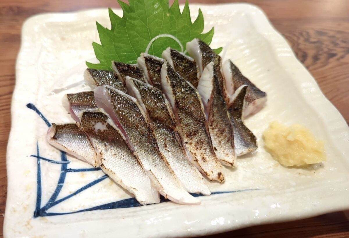 山崎様様～熱海港/カマス35cm級/4匹～