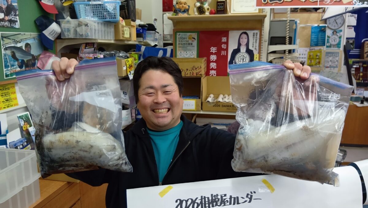 相坂様～相模湾/アオリイカ300g〜900g/7杯～