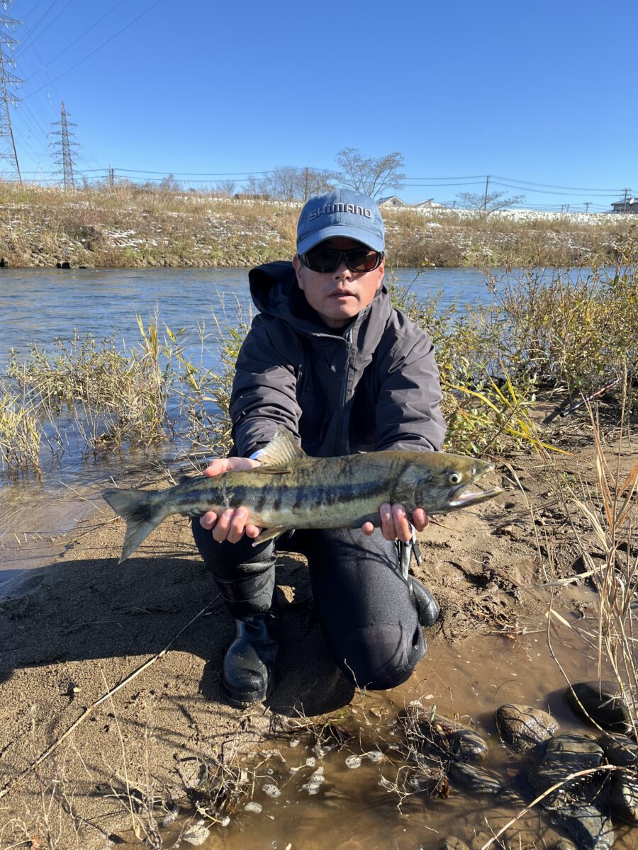 スタッフ高窪釣行記～五十嵐川/白鮭/62cm1匹～