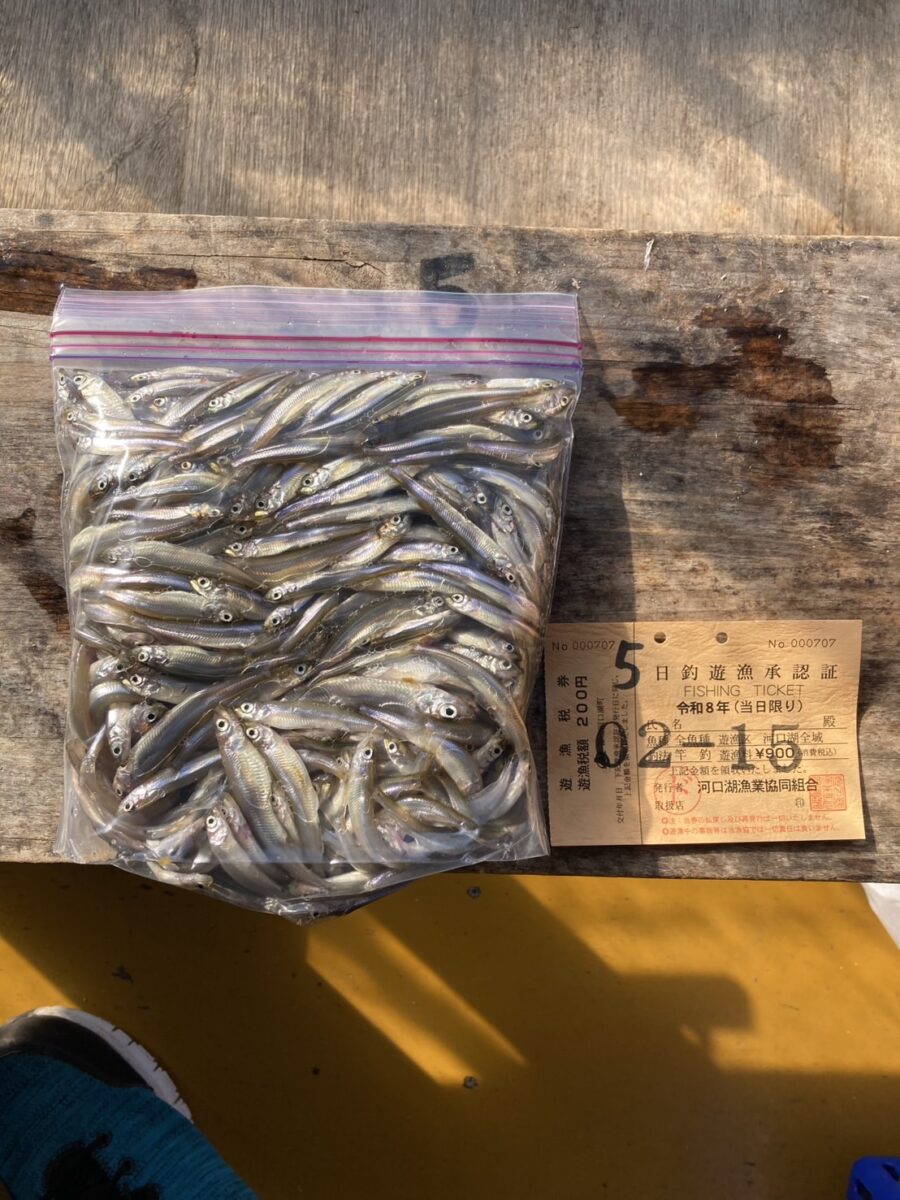 谷口様~河口湖/ワカサギ463匹