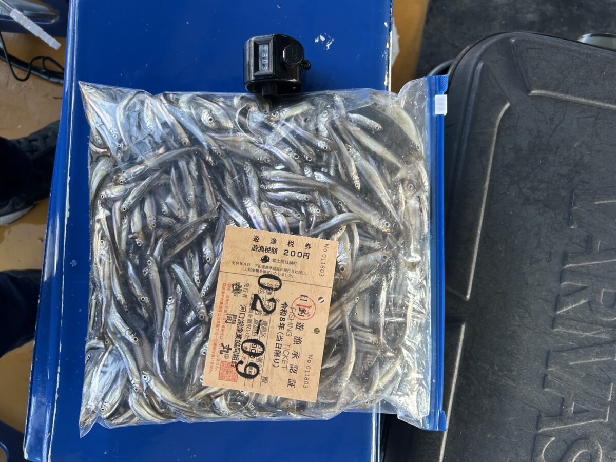 佐藤様～河口湖/ワカサギ1303匹